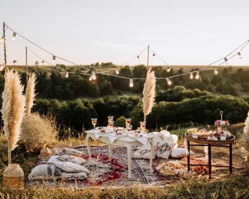Picnic