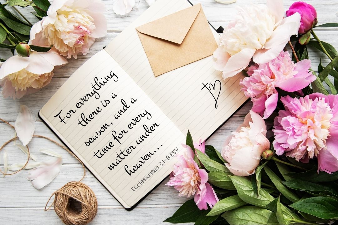 Ideas and Advice Mockup notes (7)